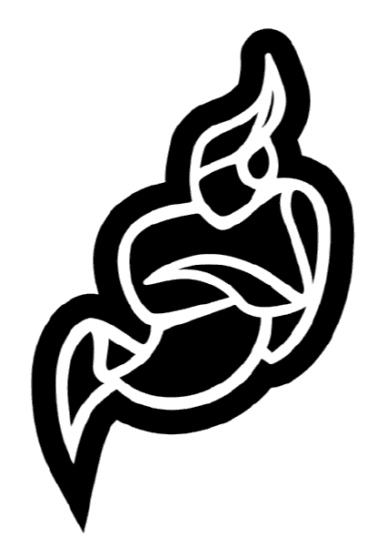 Jitsi Logo de Démo